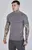 ÁO T-SHIRT CƠ BẮP MÀU XÁM - CHÍNH HÃNG